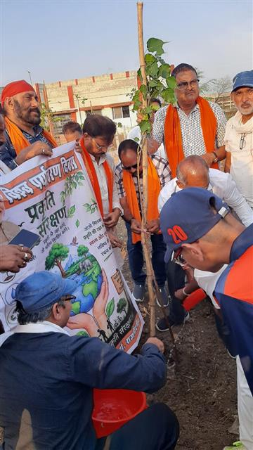 विश्व पर्यावरण दिवस पर शासकीय शिवनाथ विज्ञान महाविद्यालय में वृक्षारोपण एवं संगोष्ठी का आयोजन 