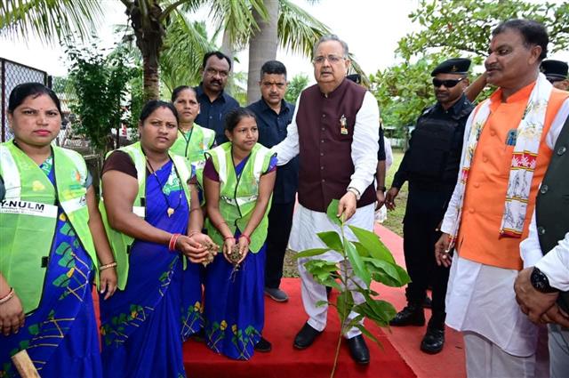 Red Ribbon Club & NSS Activities  